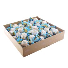 Schutzengeli®-Twist Milch 72er