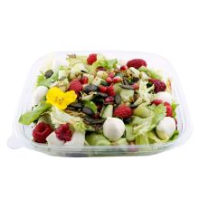 Gartensalat 