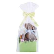 Nestli Sternschnupperli